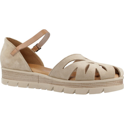 PORRONET P en color ARENA  (5)