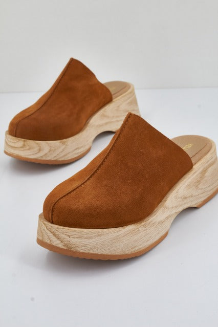 YELLOW JANE en color SRRJSETTR  (2)