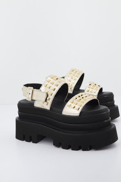 YELLOW HYPE en color CHAMPANY  (1)