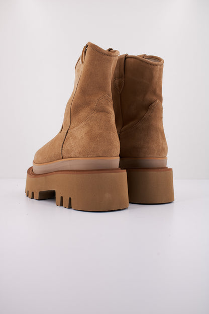 YELLOW GOLDEN en color ARENA  (3)