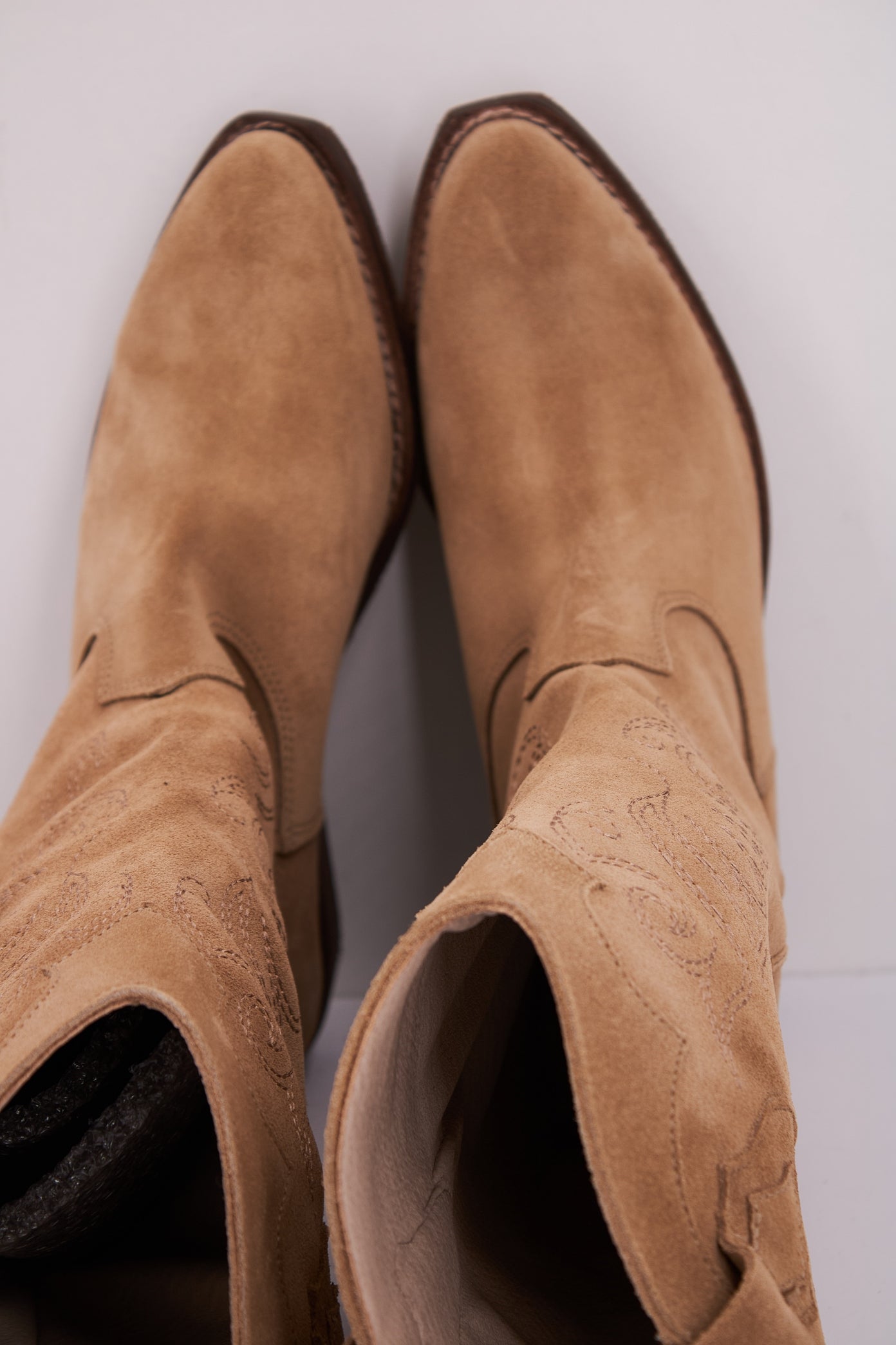 YELLOW DALLAS en color MSHRM  (3)