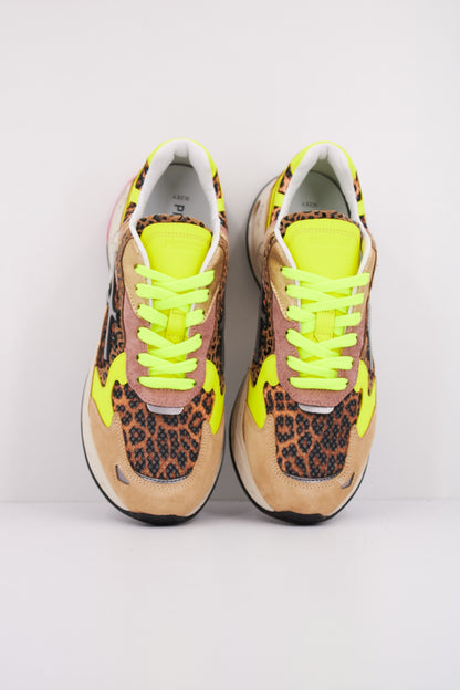 PREMIATA SHARKYD  en color   (3)