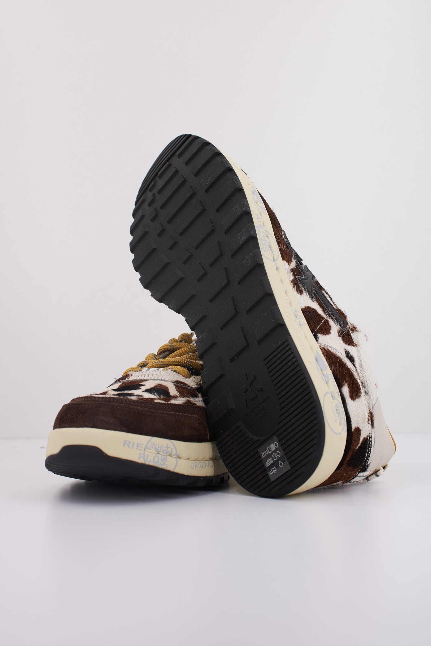 PREMIATA NOUS en color   (5)