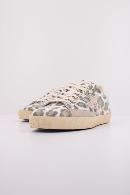 PREMIATA STEVEND  en color   (2)