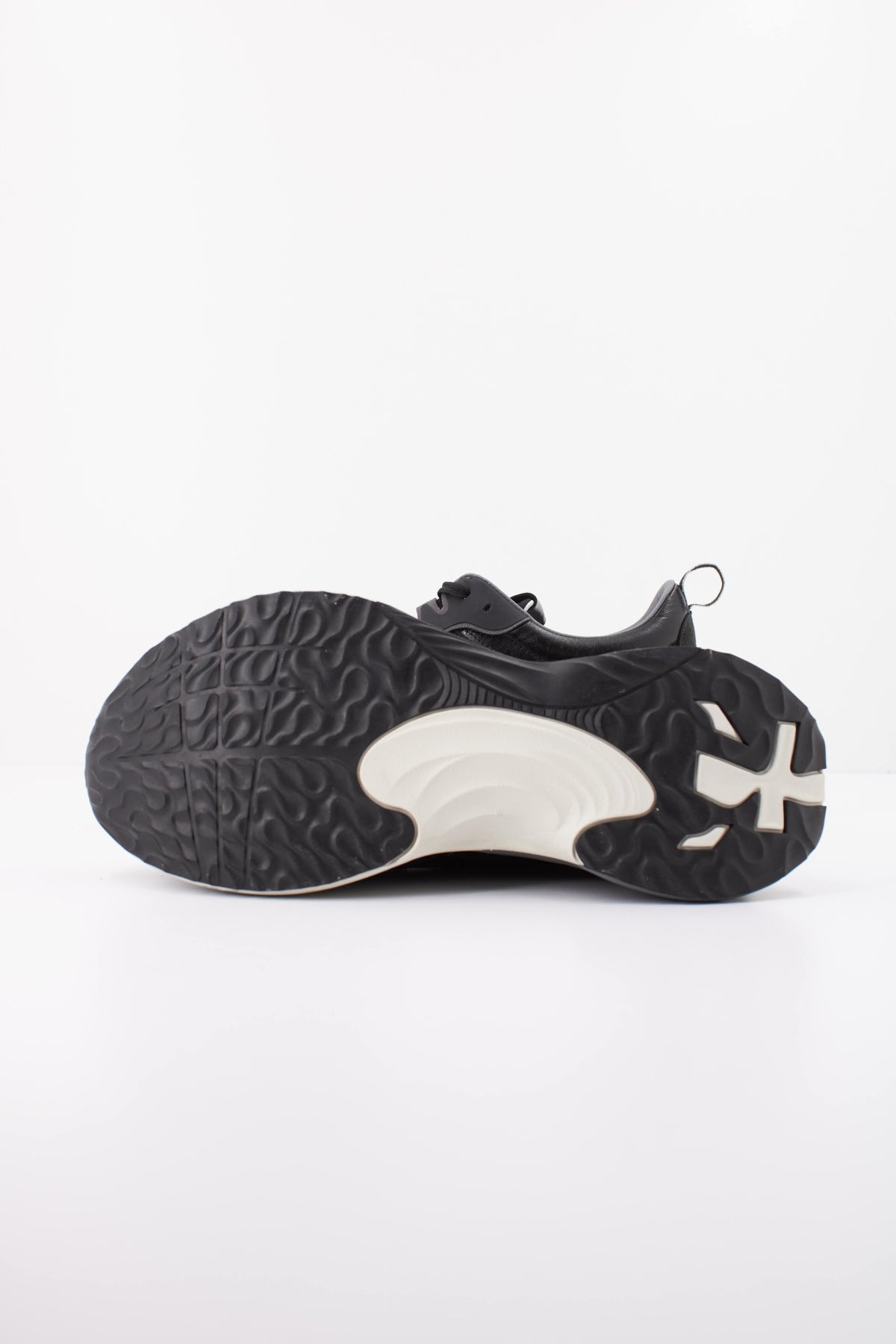 PREMIATA HILL   DEPORTIVO en color   (5)