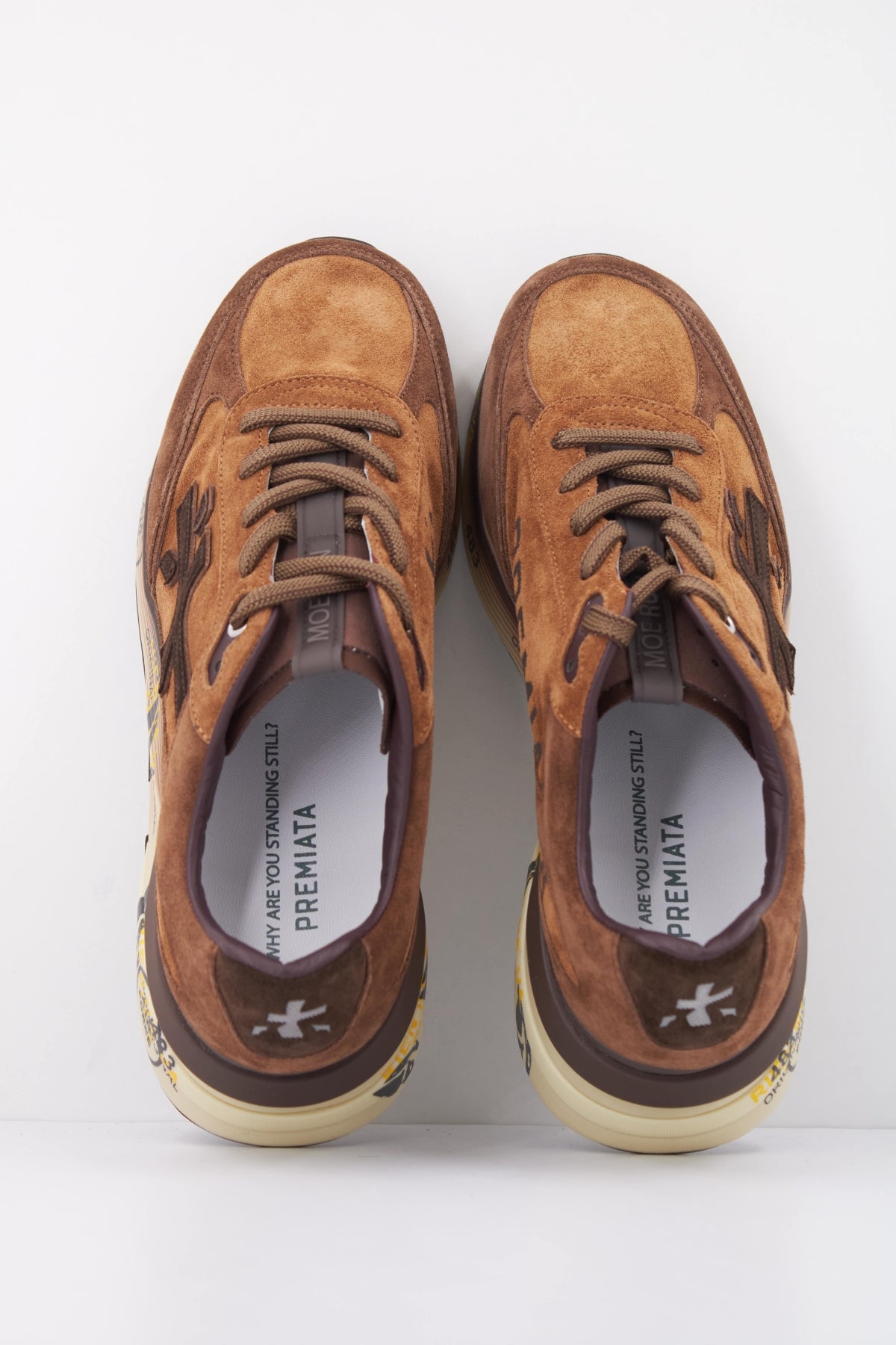 PREMIATA MOERUN en color   (3)