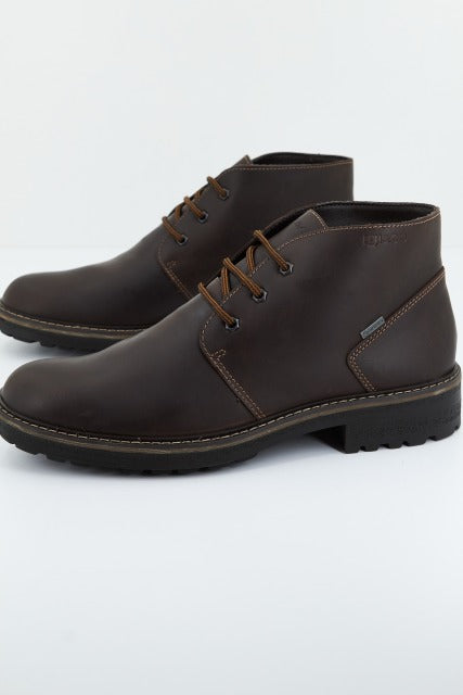 IGI&CO UOMO FREDDY GTX en color CAFFE  (2)