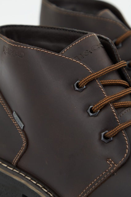 IGI&CO UOMO FREDDY GTX en color CAFFE  (4)