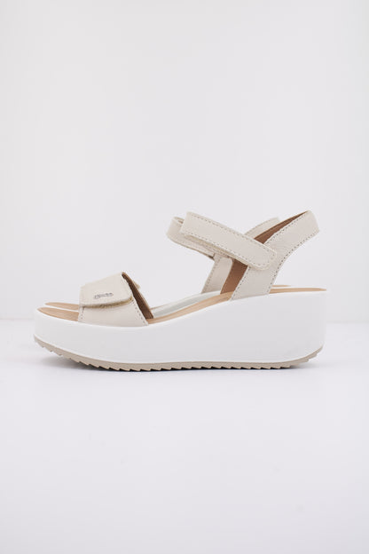 IGI&CO IG en color PANNA  (1)