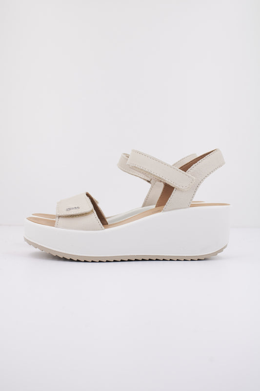 IGI&CO IG en color PANNA  (1)