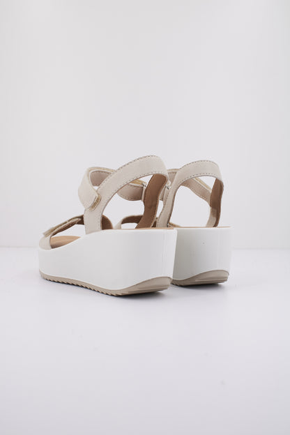 IGI&CO IG en color PANNA  (3)