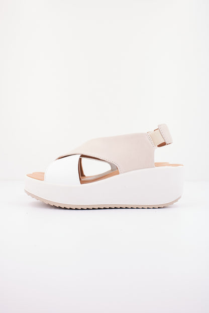 IGI&CO IG en color PNNBNC  (1)