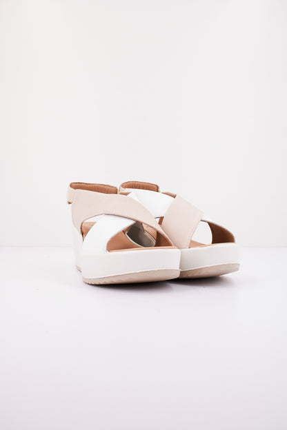 IGI&CO IG en color PNNBNC  (2)