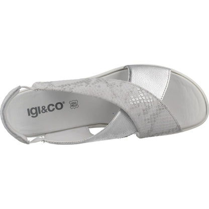 IGI&CO IG en color ARGNT  (7)