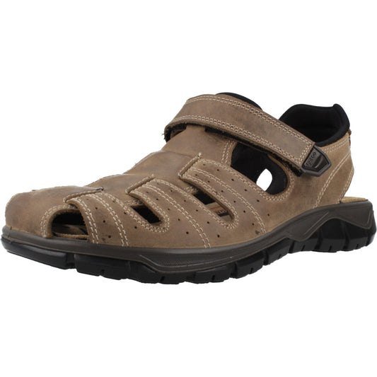 IGI&CO IG  en color TORTORA  (1)