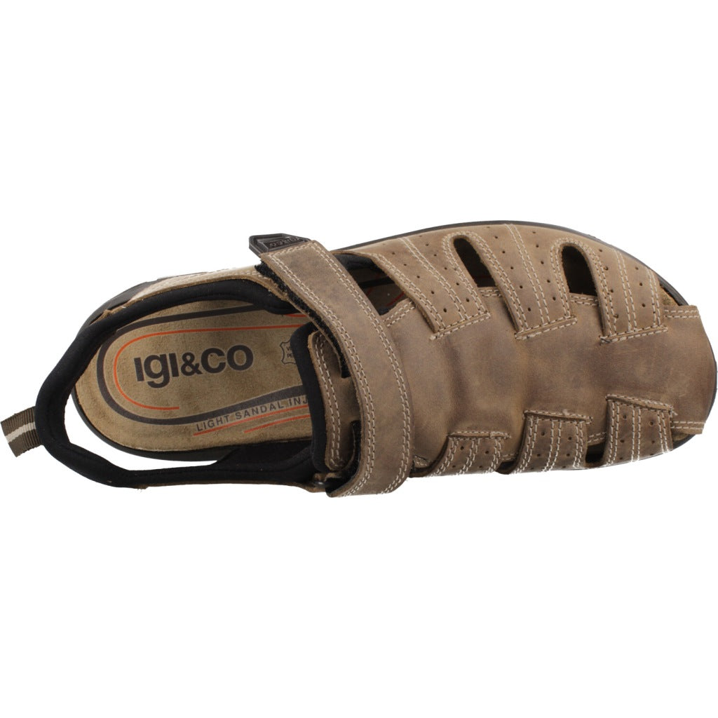 IGI&CO IG  en color TORTORA  (6)