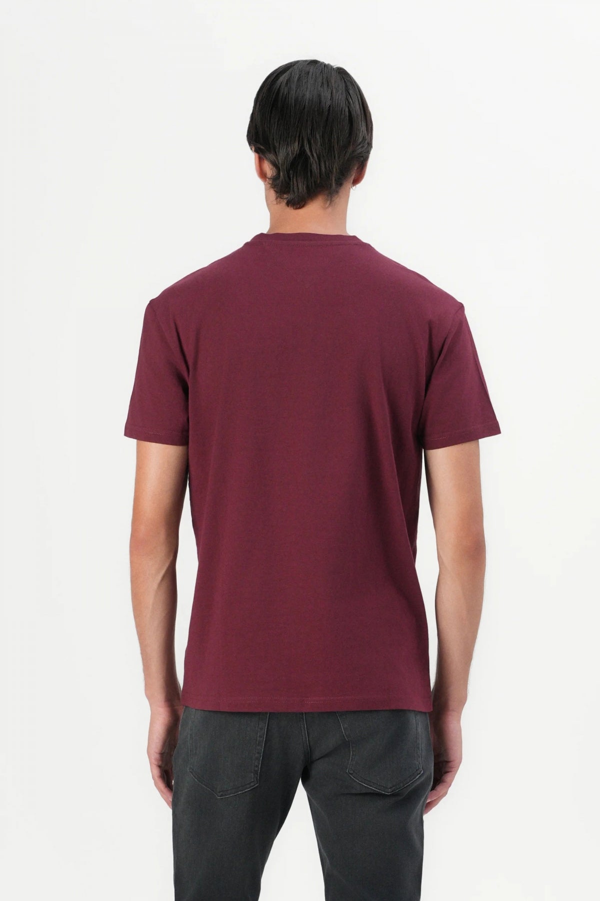 TOMMY JEANS TJM REG LINEAR LOGO  en color KP  (3)