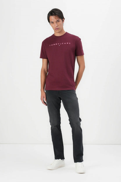 TOMMY JEANS TJM REG LINEAR LOGO  en color KP  (4)