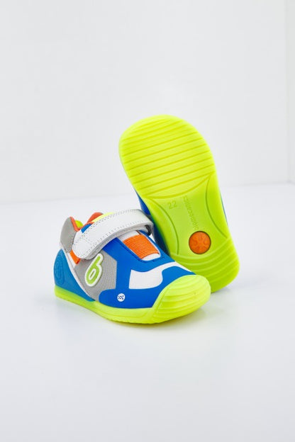 BIOMECANICS   en color ELECTRMULT  (2)