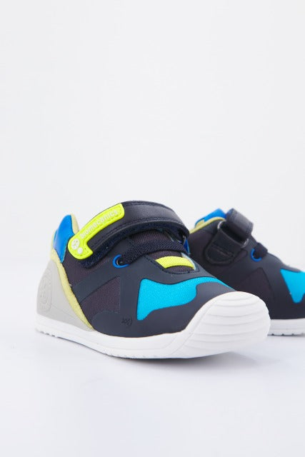 BIOMECANICS   en color AZULELEC  (1)