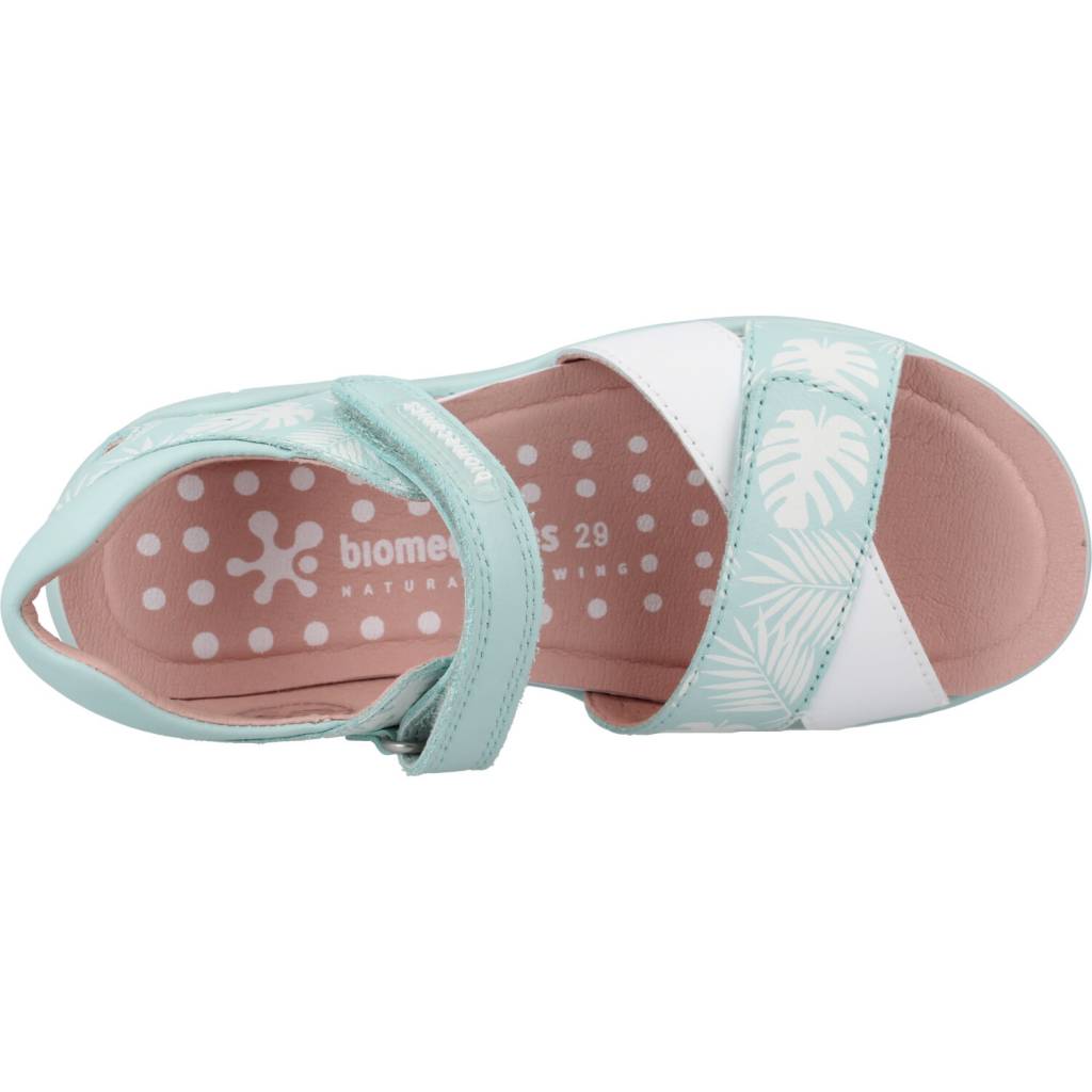 BIOMECANICS B en color SKY  (7)