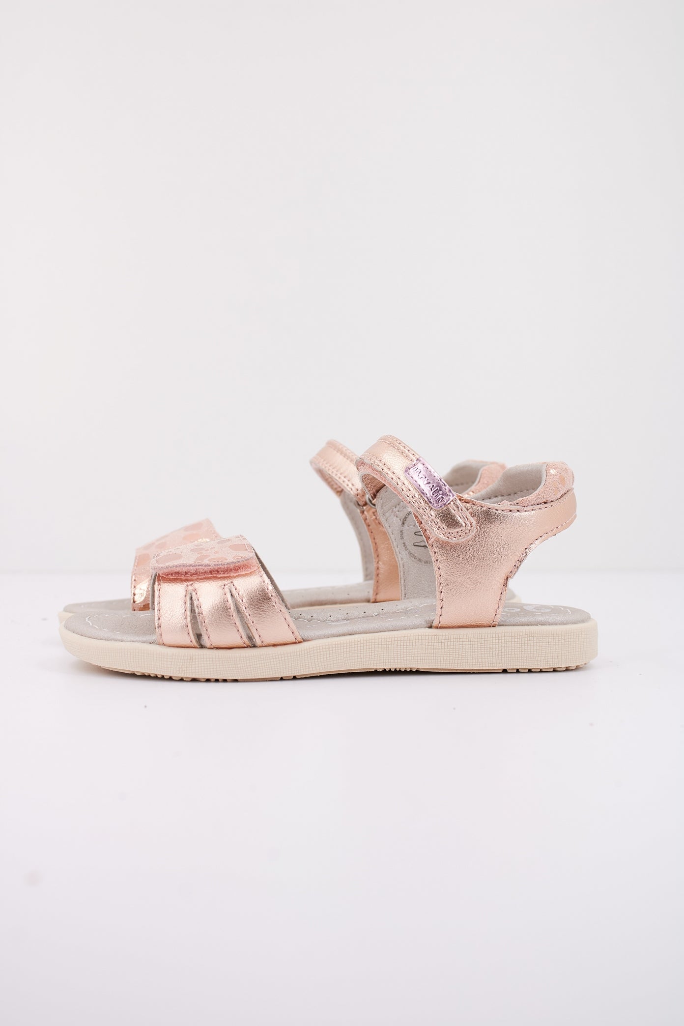 GARVALIN G  en color MONROBIA  (1)