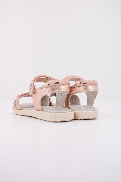 GARVALIN G  en color MONROBIA  (3)