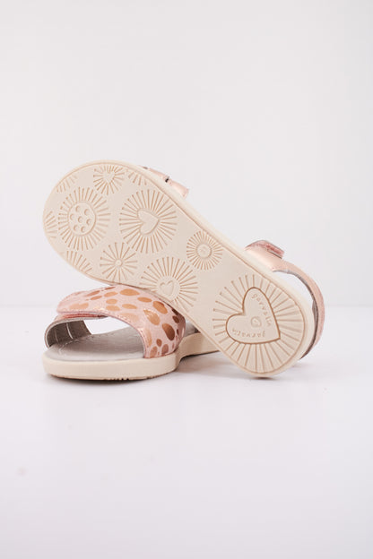 GARVALIN G  en color MONROBIA  (4)