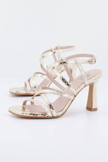 JONI J en color SNAPLATINO  (1)