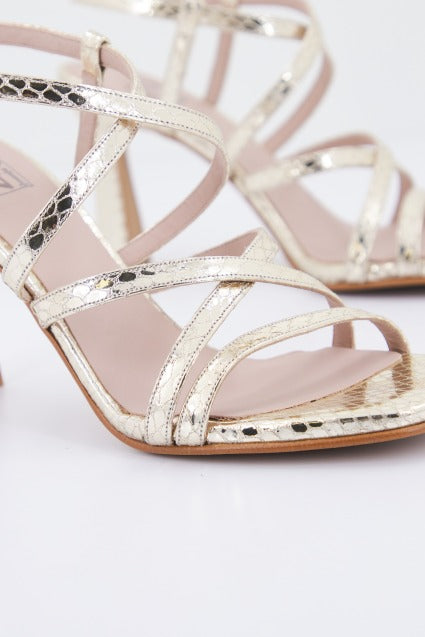 JONI J en color SNAPLATINO  (4)