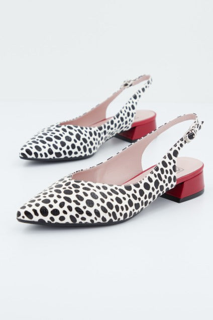 JONI J  en color DALMATA  (1)