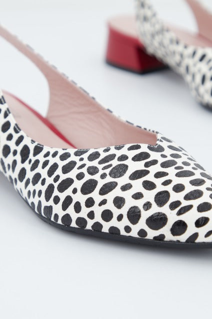 JONI J  en color DALMATA  (2)