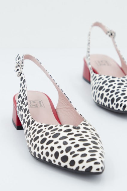 JONI J  en color DALMATA  (4)