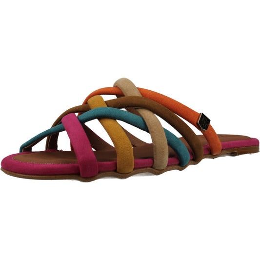 POPA MS en color MULTI  (1)