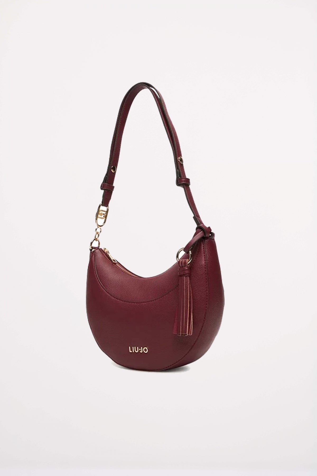 LIU-JO M HOBO CIRRY en color   (2)
