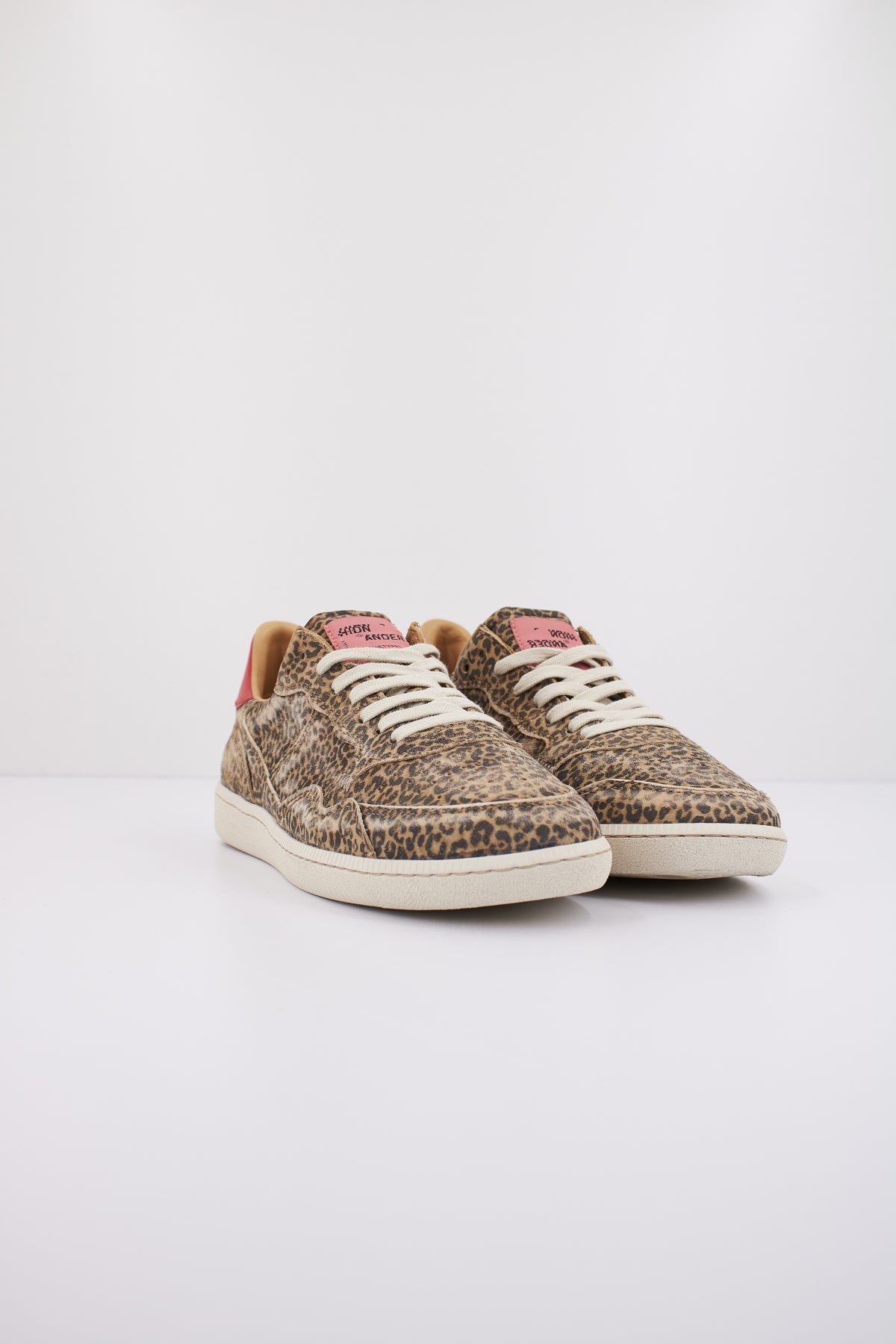 HIDNANDER MEGA T ART en color   (2)