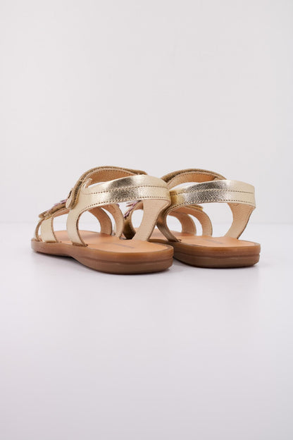NATURINO  ALATHE en color ORO  (4)