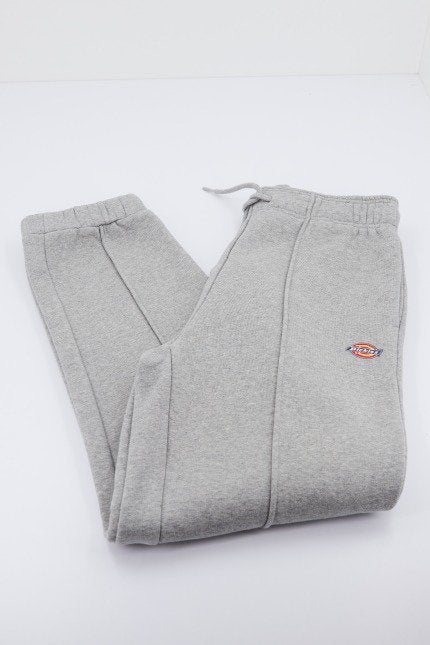 DICKIES DKAXLTGYM MAPLETO en color GYM  (2)