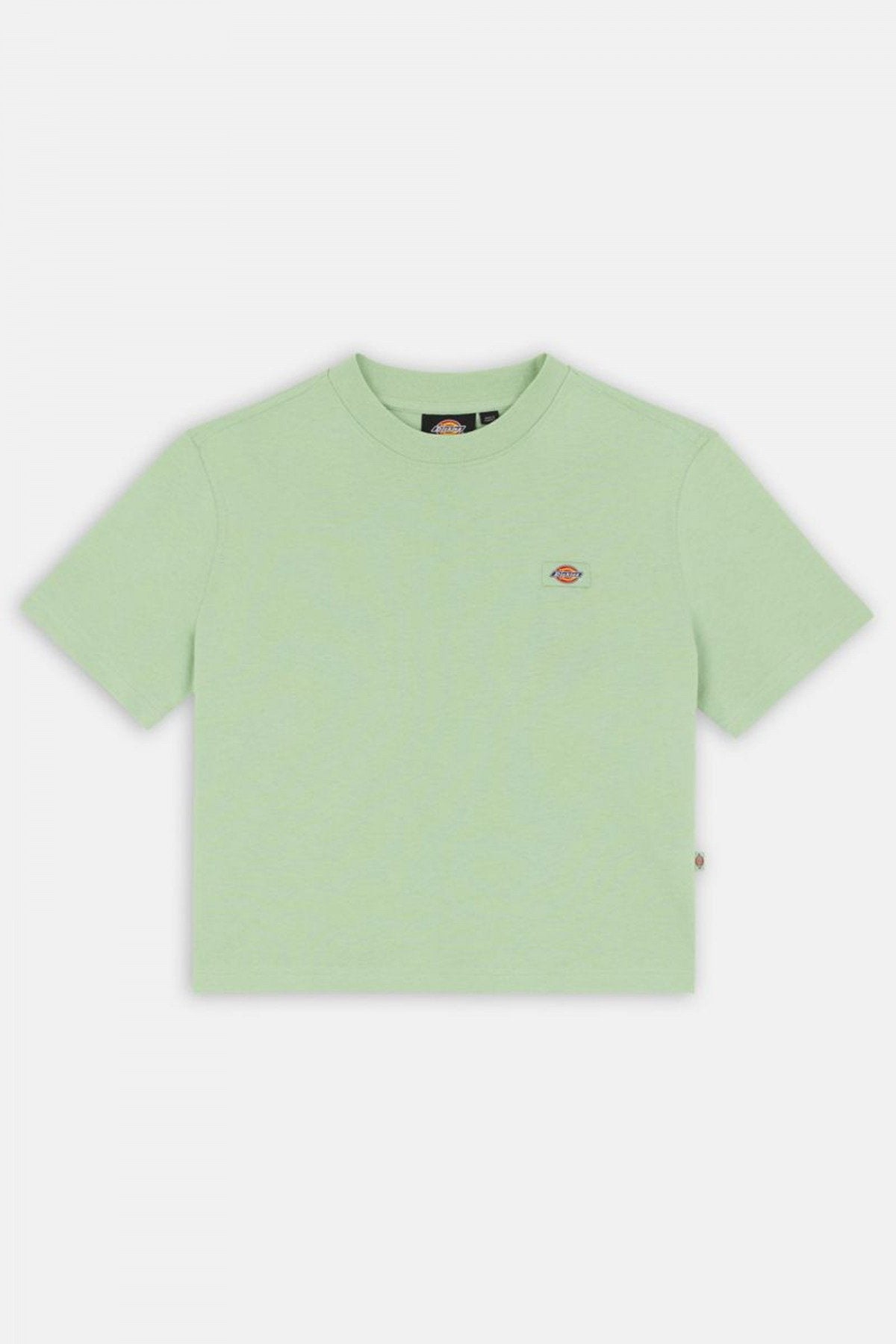 DICKIES  OAKPORT BOXY TEE SS en color F  (2)