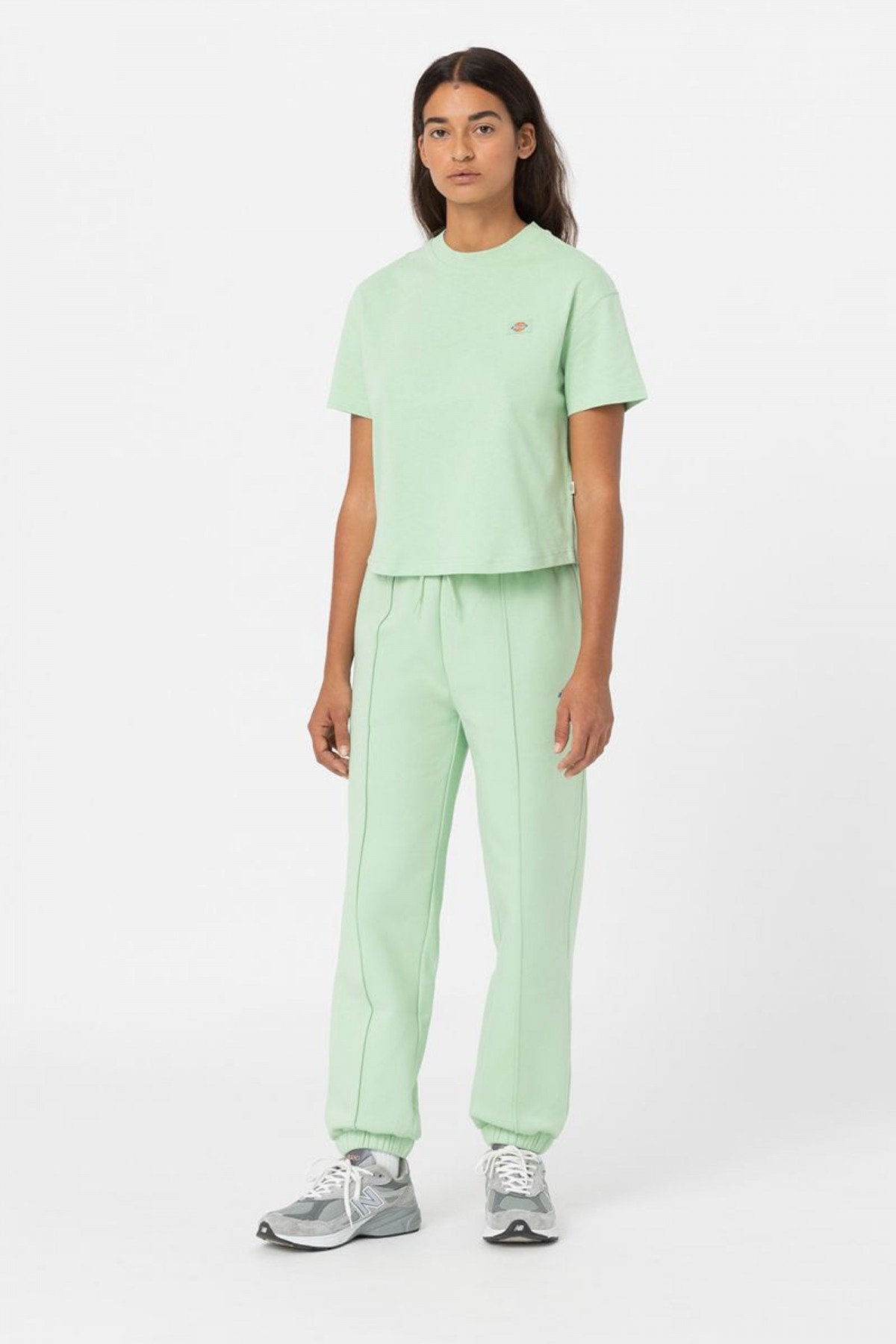 DICKIES  OAKPORT BOXY TEE SS en color F  (4)