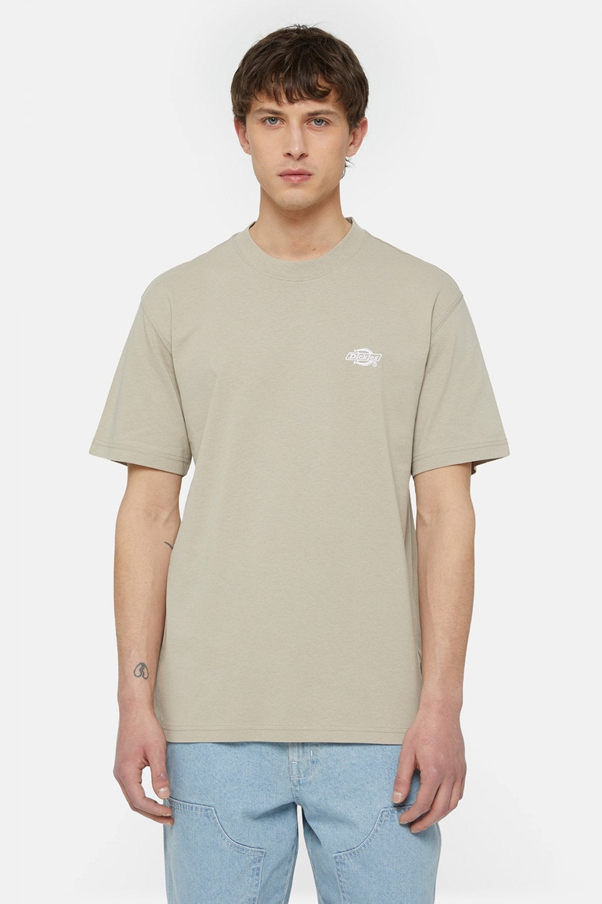 DICKIES SUMMERDALE SS TEE en color SS  (1)