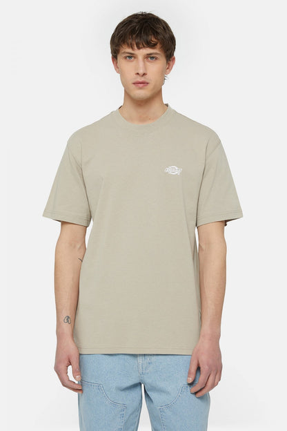 DICKIES SUMMERDALE SS TEE en color SS  (1)