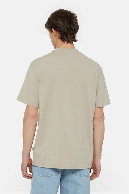 DICKIES SUMMERDALE SS TEE en color SS  (3)