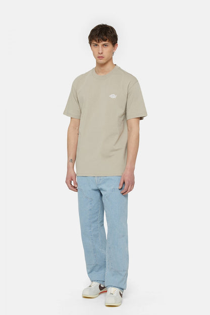 DICKIES SUMMERDALE SS TEE en color SS  (4)