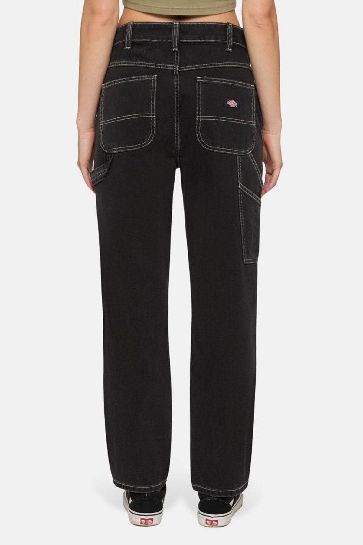 DICKIES ELLENDALE en color J  (3)