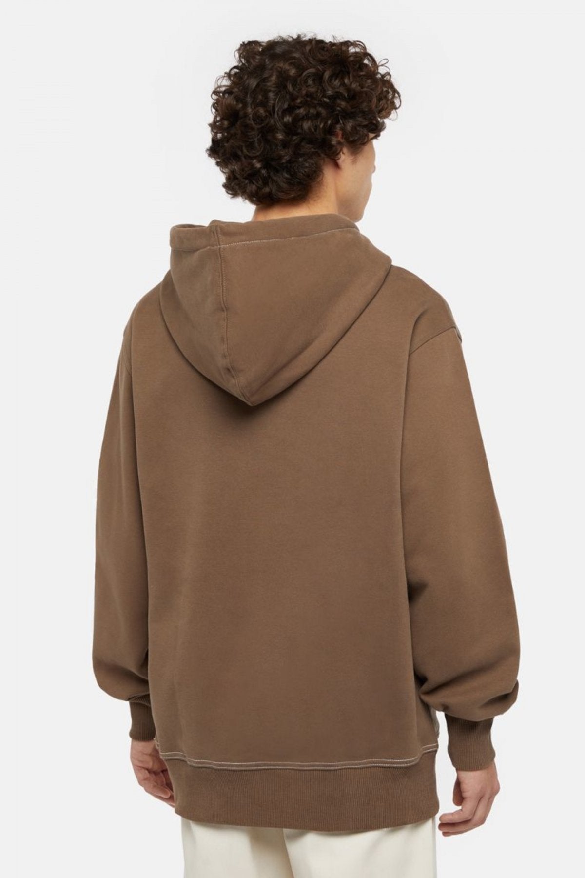 DICKIES PHILIPSBURG HOODIE en color MR  (3)