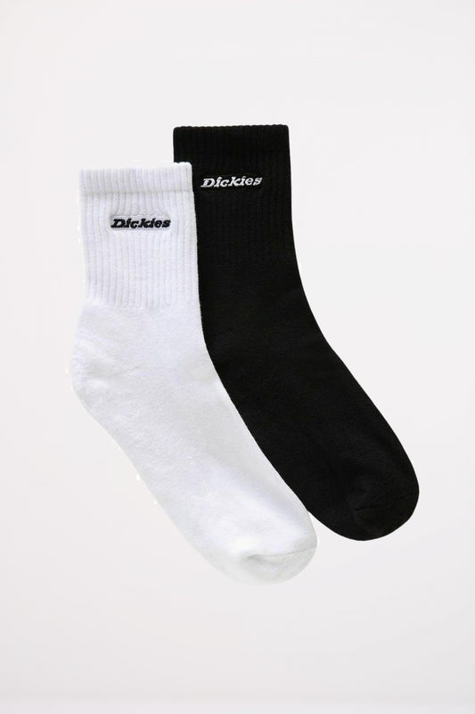 DICKIES NEW CARL YSS en color BLW  (1)