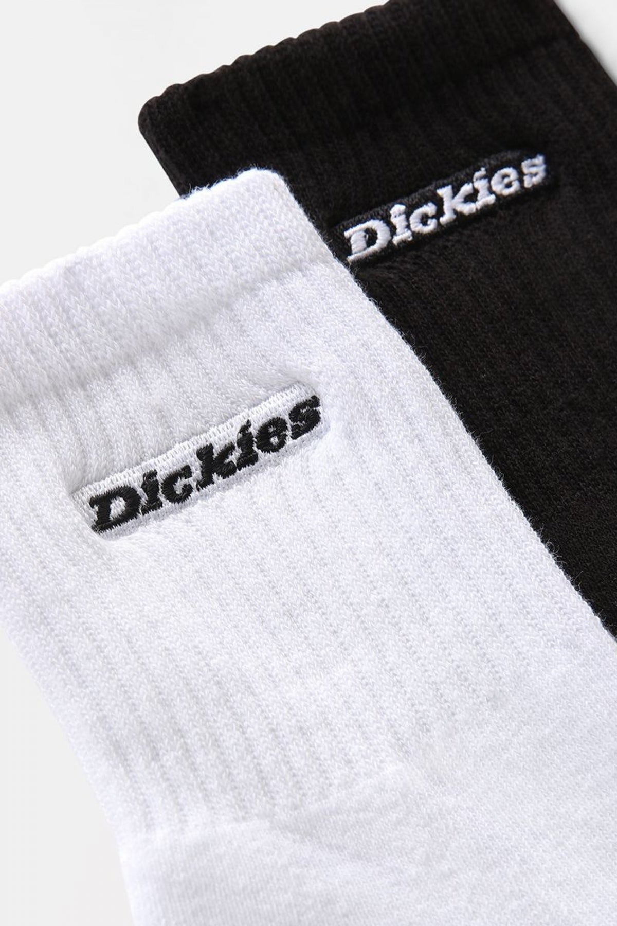 DICKIES NEW CARL YSS en color BLW  (2)