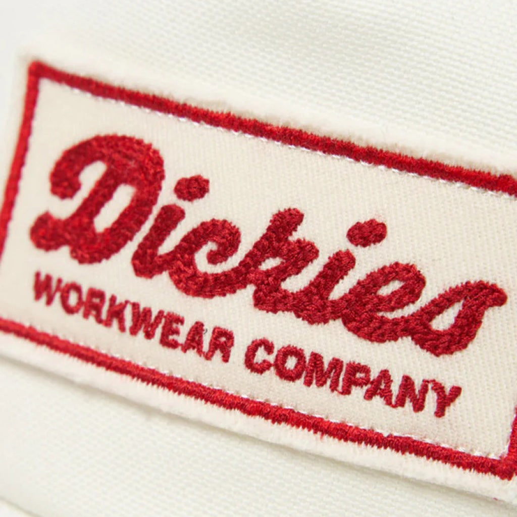 DICKIES LEWISTOWN TRUCKER en color C  (6)