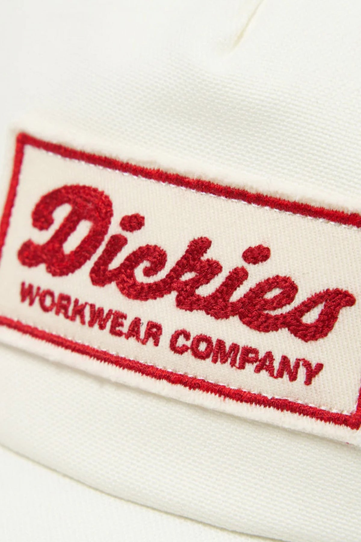 DICKIES LEWISTOWN TRUCKER en color C  (3)